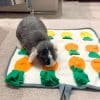 Forage mats for rabbits