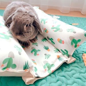 Rabbit cooling mat with cactus