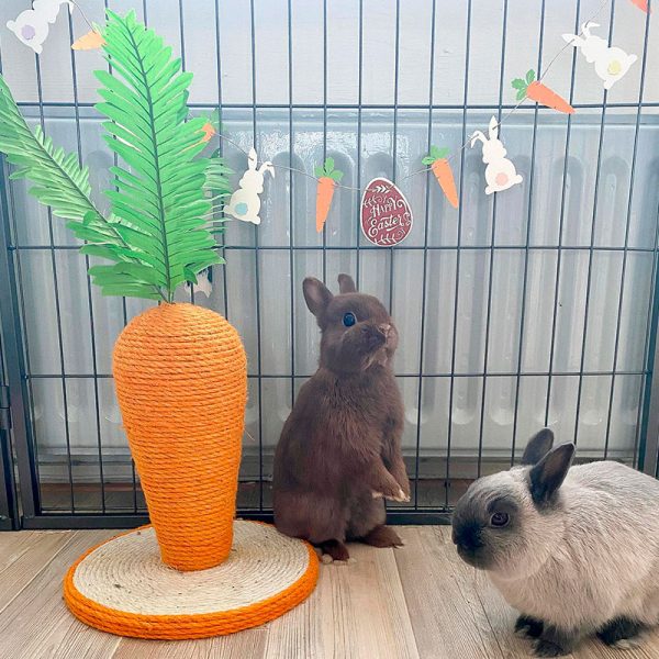 Rabbit scratching post carrot FlopBunny 3