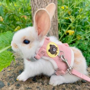 Rabbit harness with cute design FlopBunny