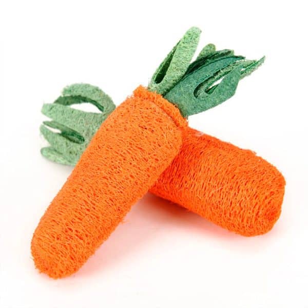 Carrot rabbit chew toy