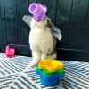 Rabbit stacking cups FlopBunny 17