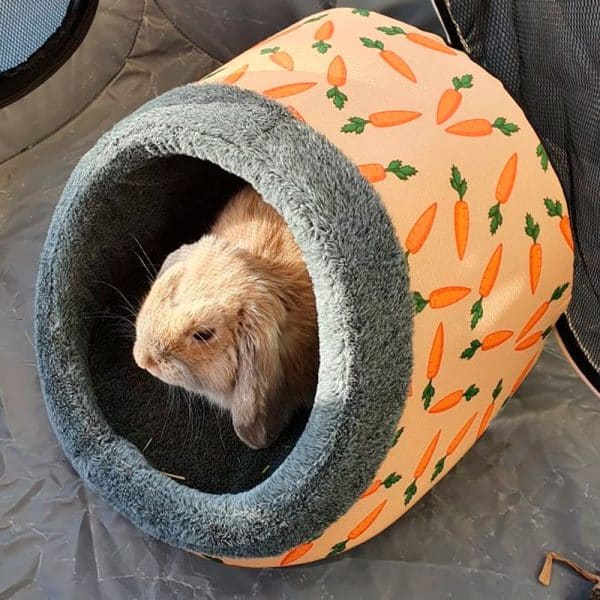 bunny bed
