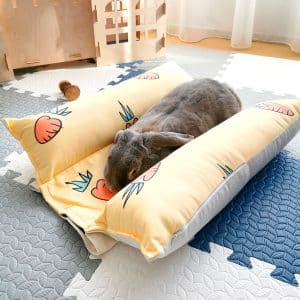 Rabbit cooling mat with ice blocks