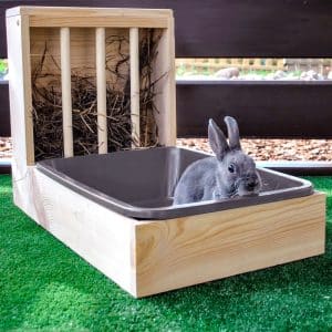 Bunny hay feeder and litter tray
