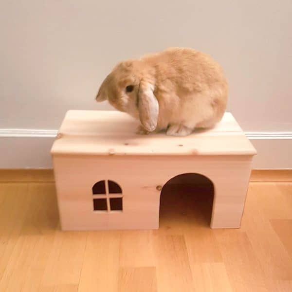 Wooden rabbit house