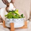 Bunny bowl with ceramic FlopBunny 15