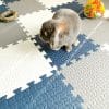 rabbit flooring