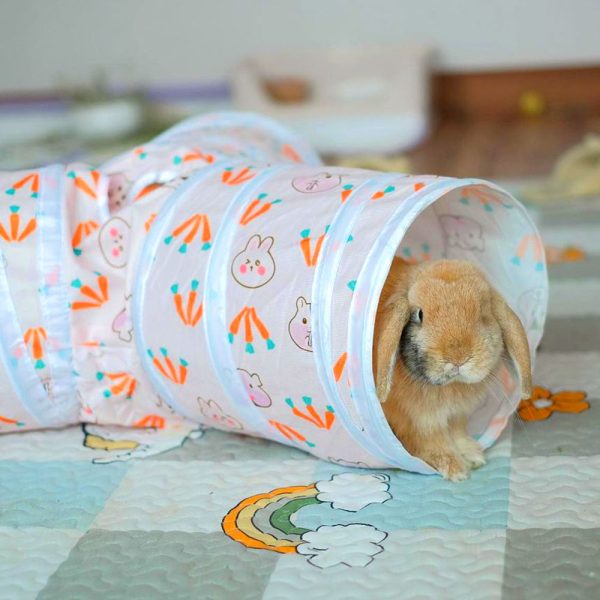 bunny tunnel