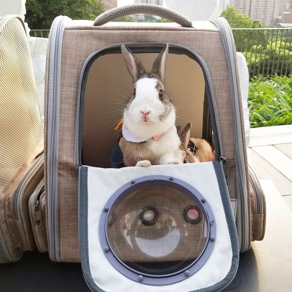 Beige Rabbit Carrier Backpack FlopBunny 3