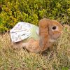 rabbit in clothes