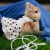 Ceremony Bunny Clothing FlopBunny 13
