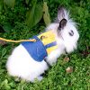 Cute rabbit clothing FlopBunny 17