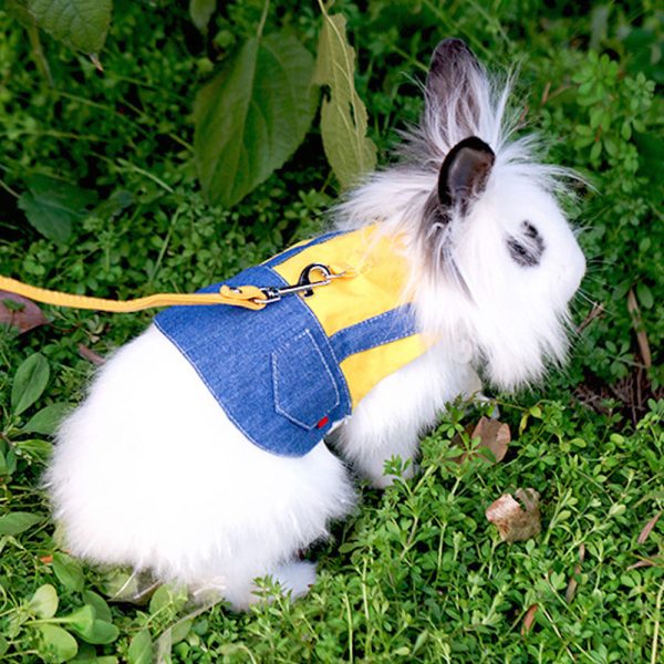 Cute rabbit clothing FlopBunny 9