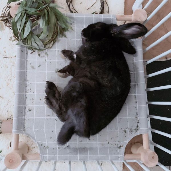 Gray Rabbit Bed FlopBunny 9