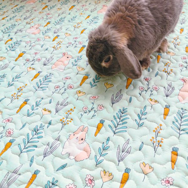 flooring for rabbits