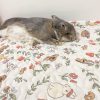 Enclosure Rabbit Mat FlopBunny 9
