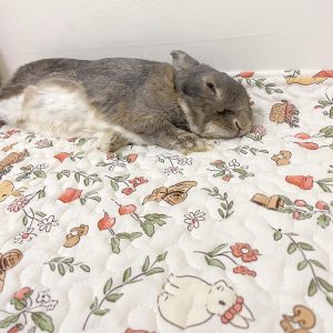 Enclosure Rabbit Mat FlopBunny