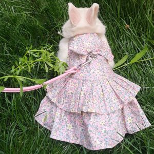 bunny clothes