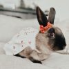 Cherry Rabbit Clothing FlopBunny 13
