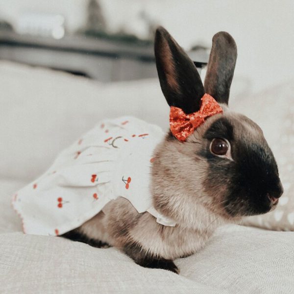 Cherry Rabbit Clothing FlopBunny 7
