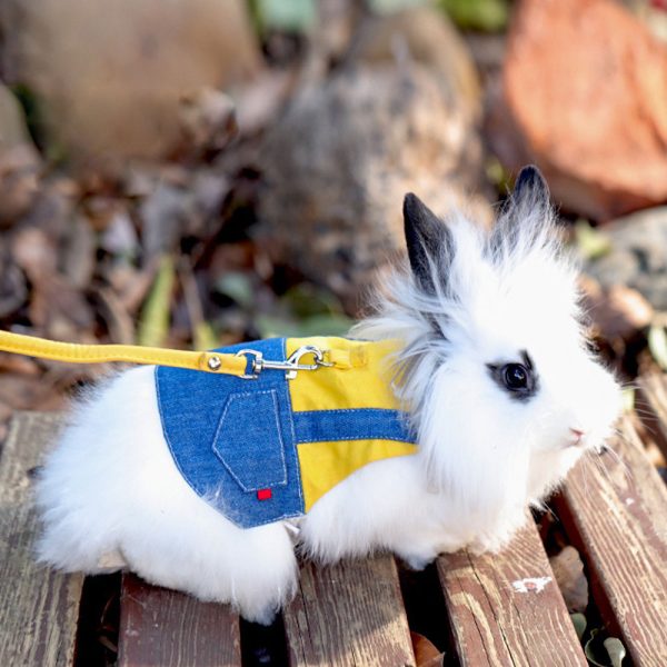 Cute rabbit clothing FlopBunny 7