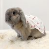 Cherry Rabbit Clothing FlopBunny 11